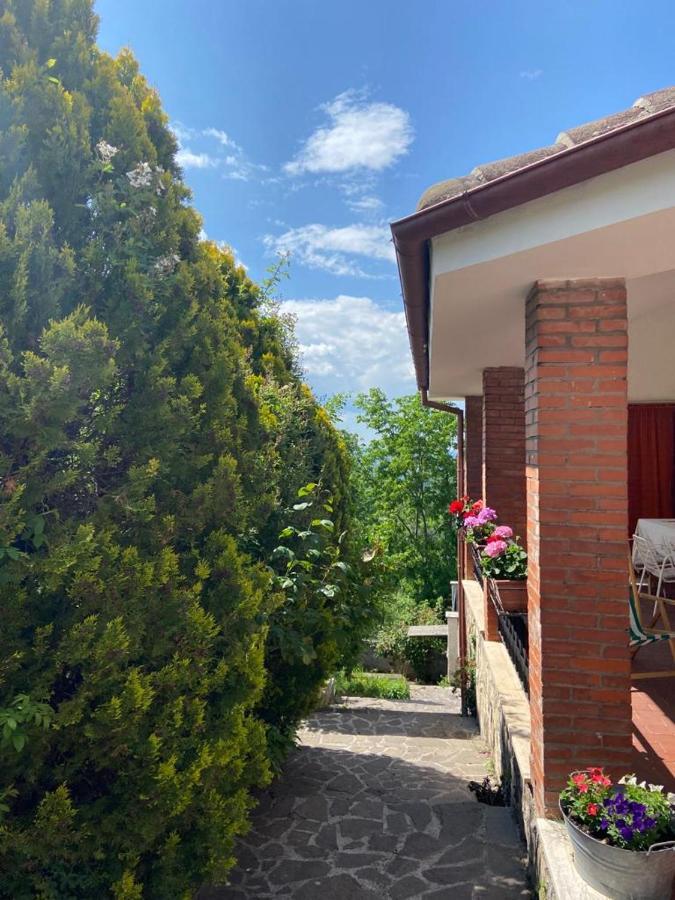 La Stella Danzante B&B Camerata Vecchia Eksteriør bilde